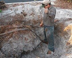 Worker on the Site — Fort Myers, FL — Island Coast Lawn & Landscaping, Inc.