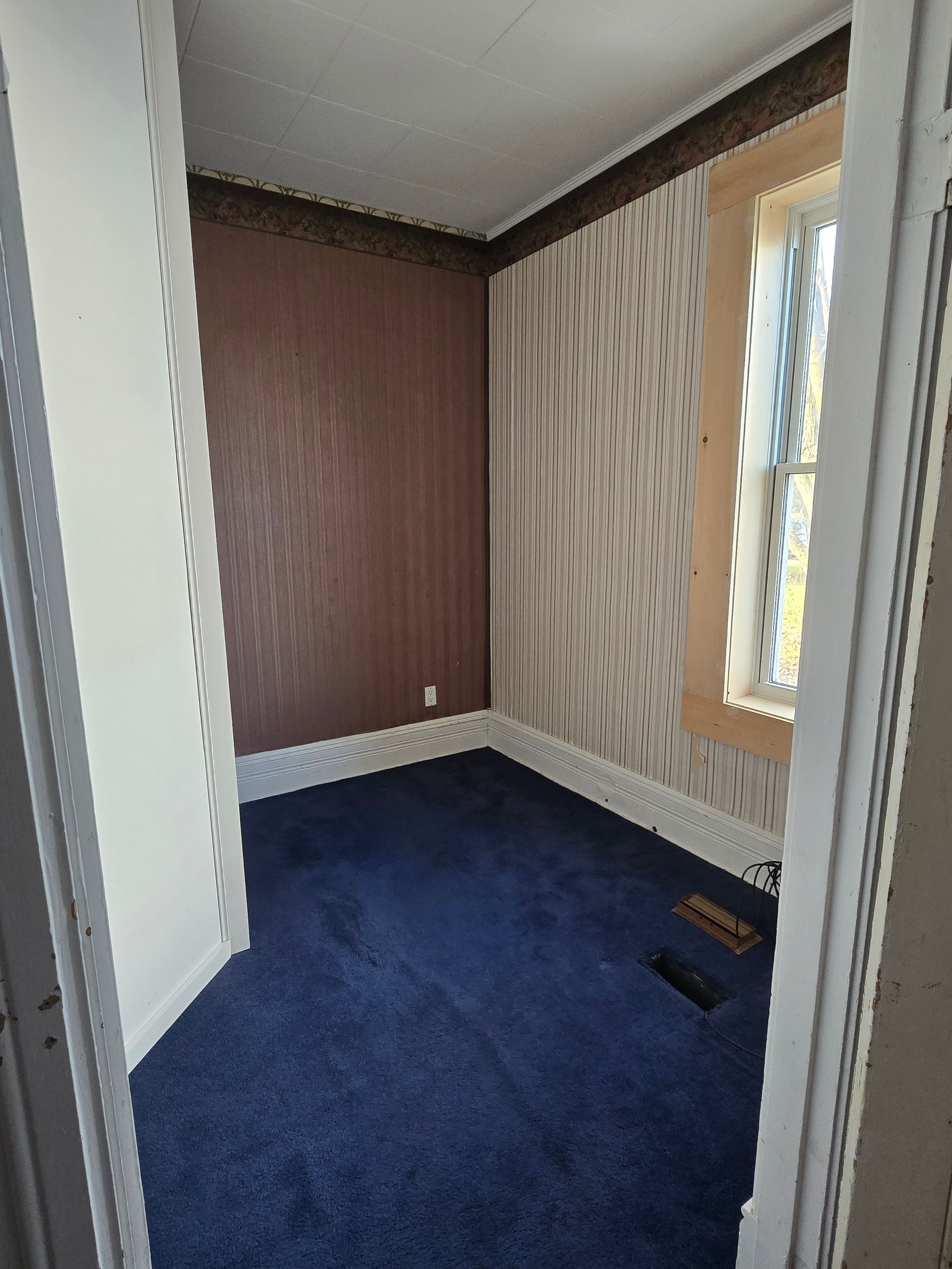 Empty room with blue carpet, maroon wall, patterned wallpaper, and window with light.