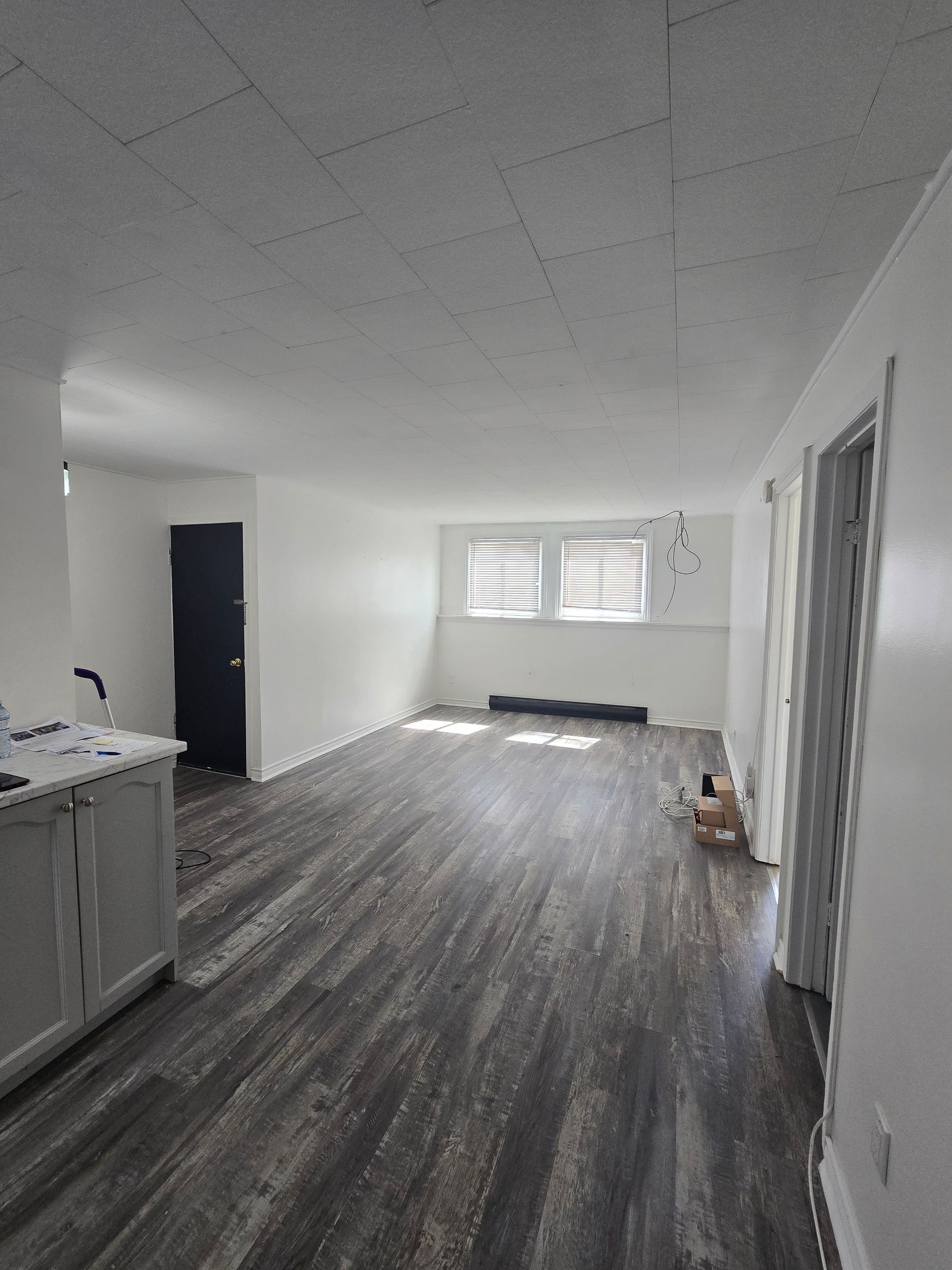 Empty room with dark wood-look floor, white walls, and a black door. Natural light enters through a window.