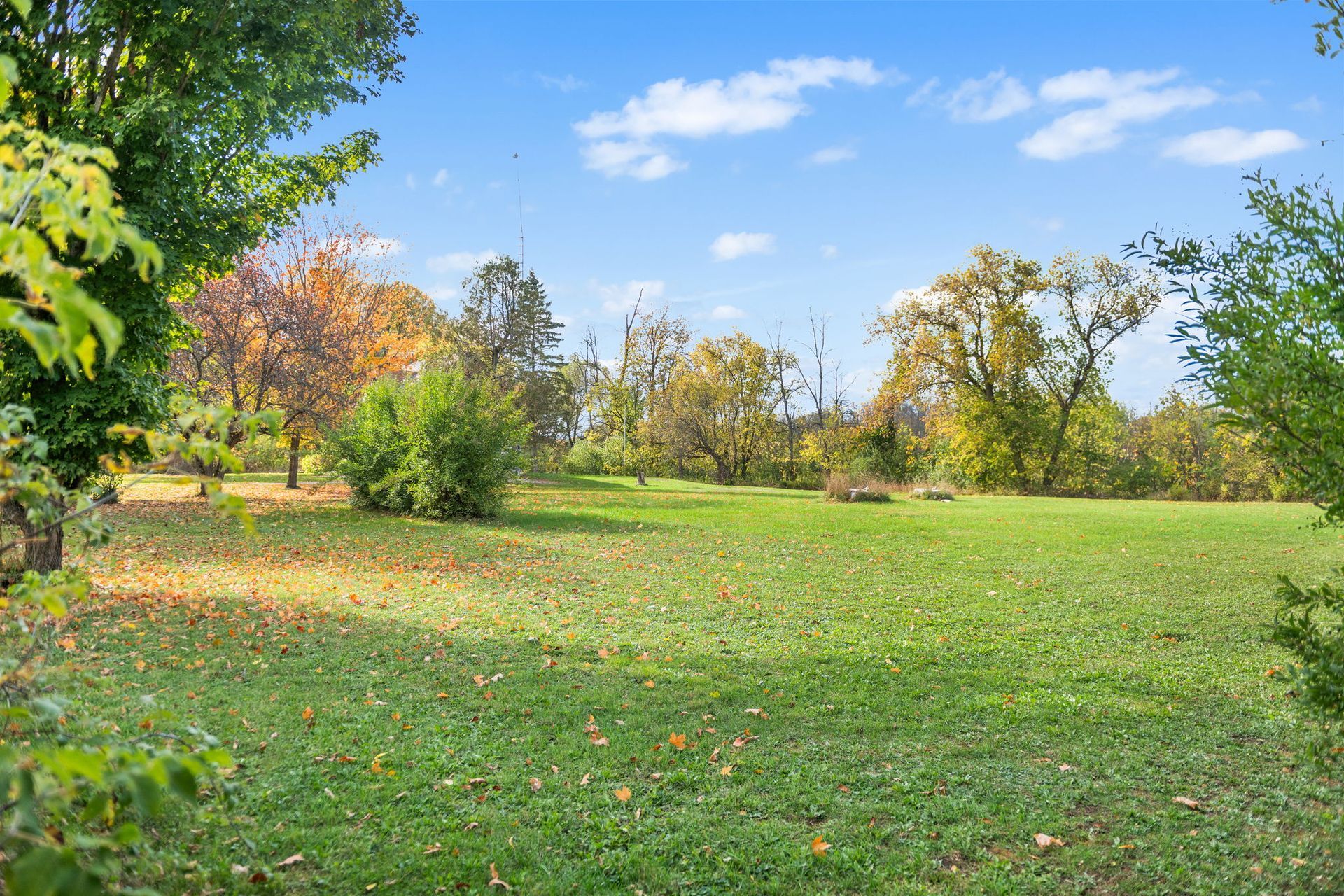 Green grassy field with scattered leaves, surrounded by trees under a blue sky.