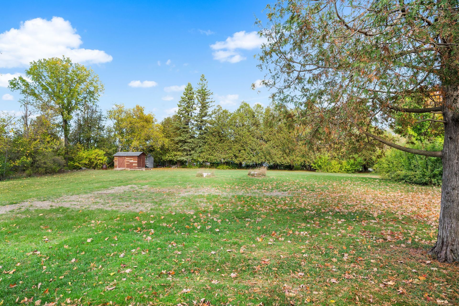 Green grassy yard with autumn leaves, small brick structure in the distance, trees under a blue sky.