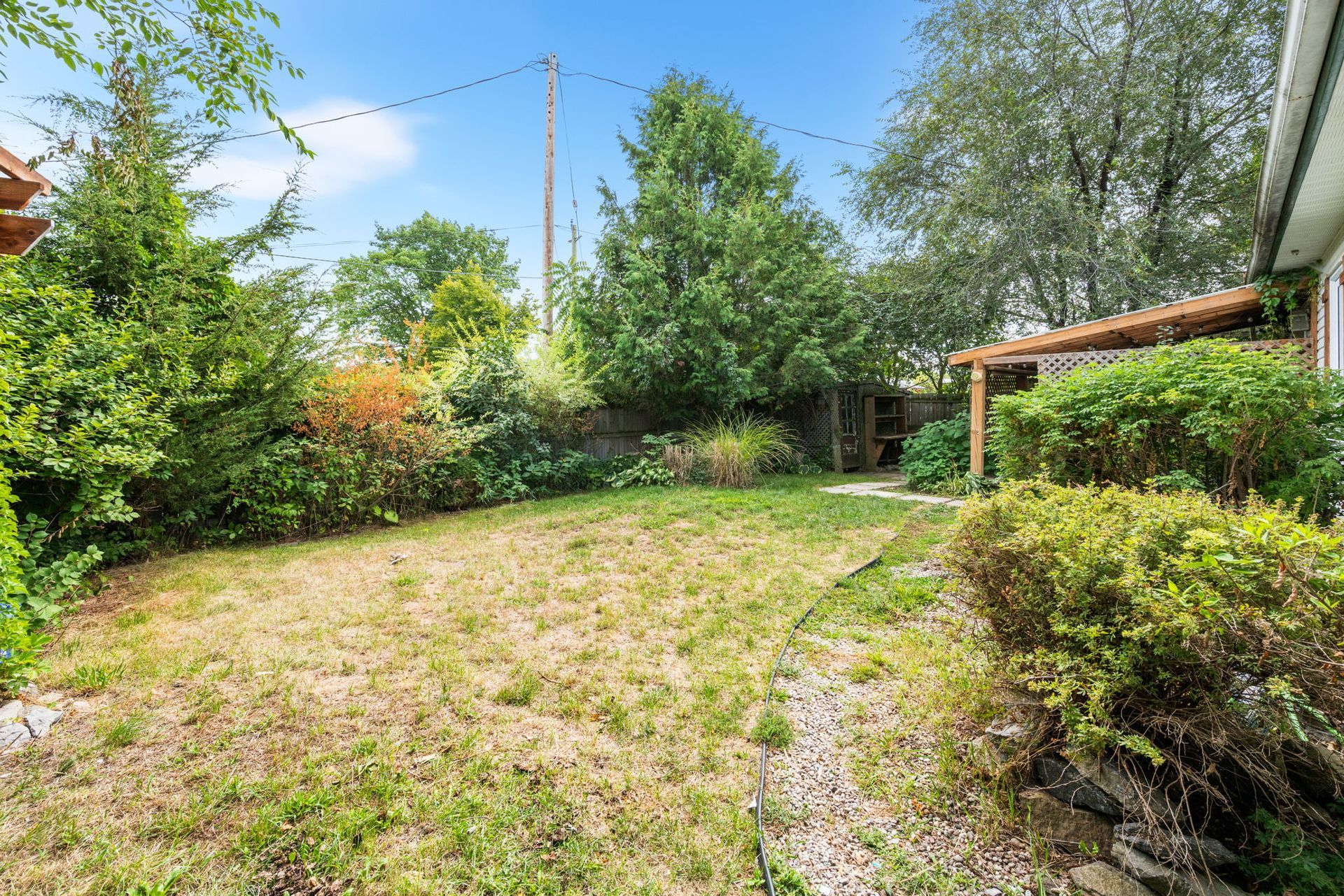 Backyard with patchy grass, surrounded by bushes and trees, and a wooden structure.