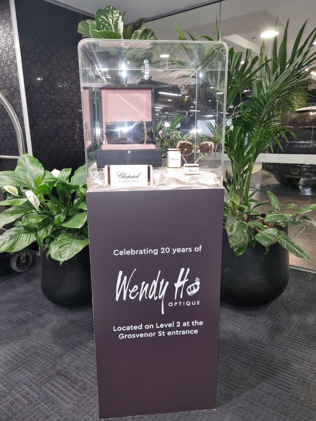 Display case with jewelry. Celebrating 30 years of Wendy Ho Optique. Surrounded by plants.