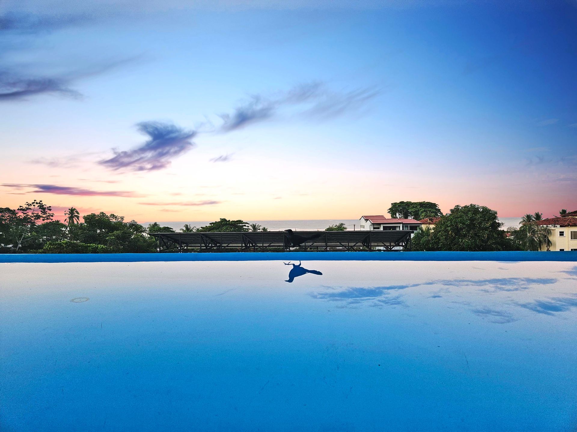 Infinity pool reflecting a twilight sky. Buildings and trees on the horizon, blue and orange hues.