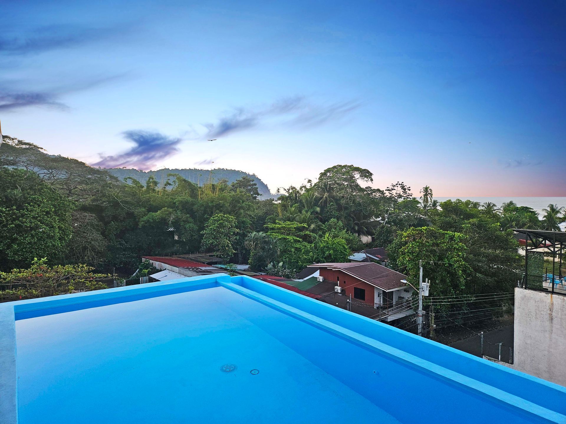 Rooftop pool overlooking trees and ocean at dusk; blue hues.