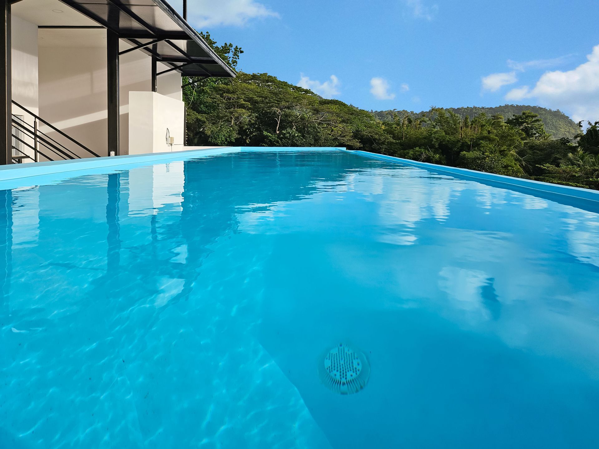 Blue swimming pool overlooking trees under a blue sky, next to a modern building.