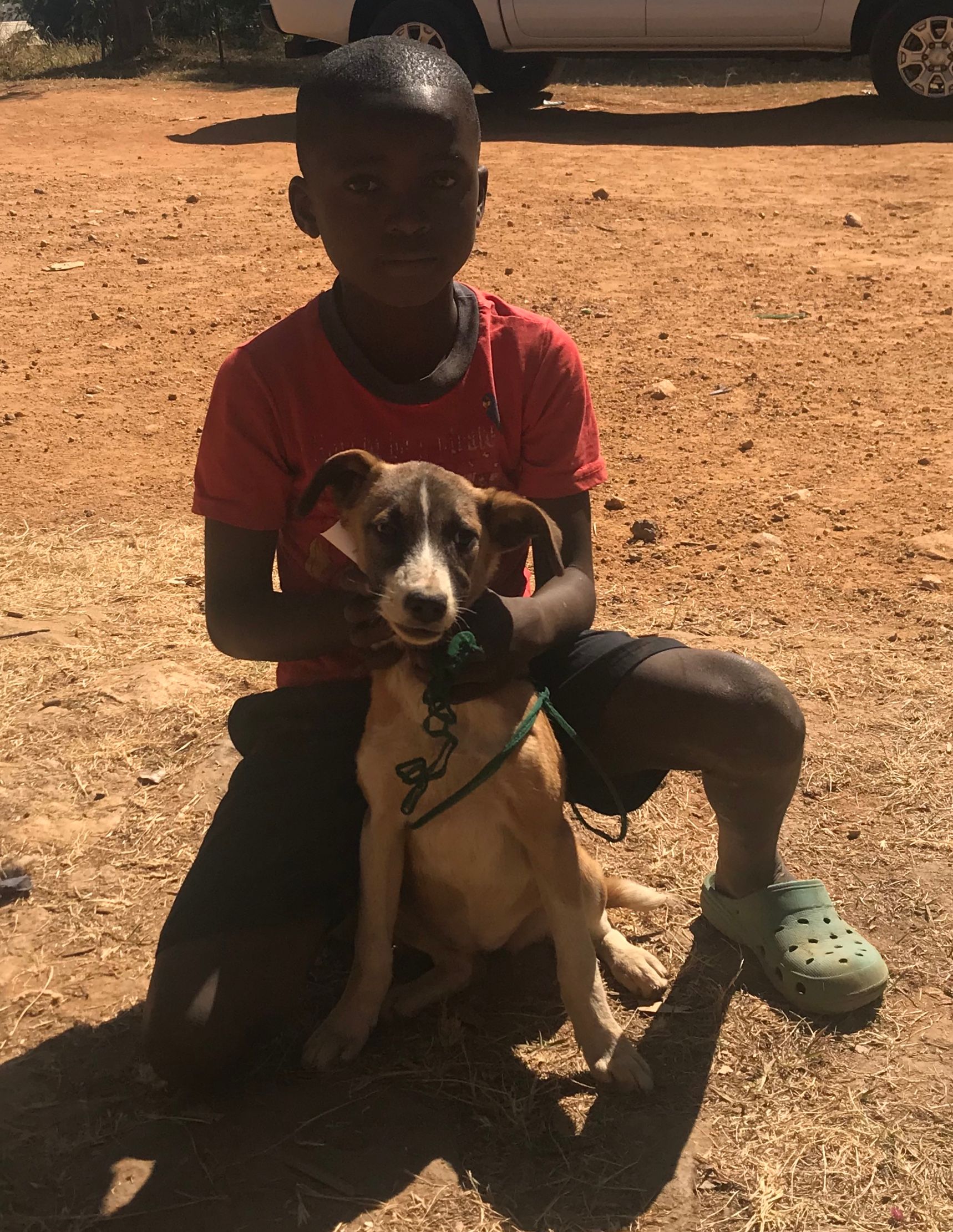 a boy in a red shirt is kneeling down with a dog