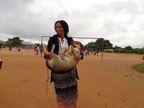 A woman is holding a dog on her back in a dirt field.