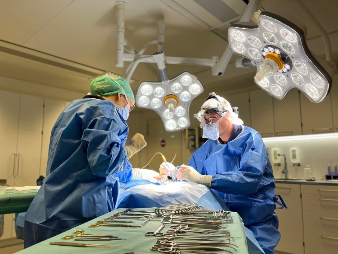 Två kirurger i operationssalen utför operation. Utrustning och lampor är synliga.
