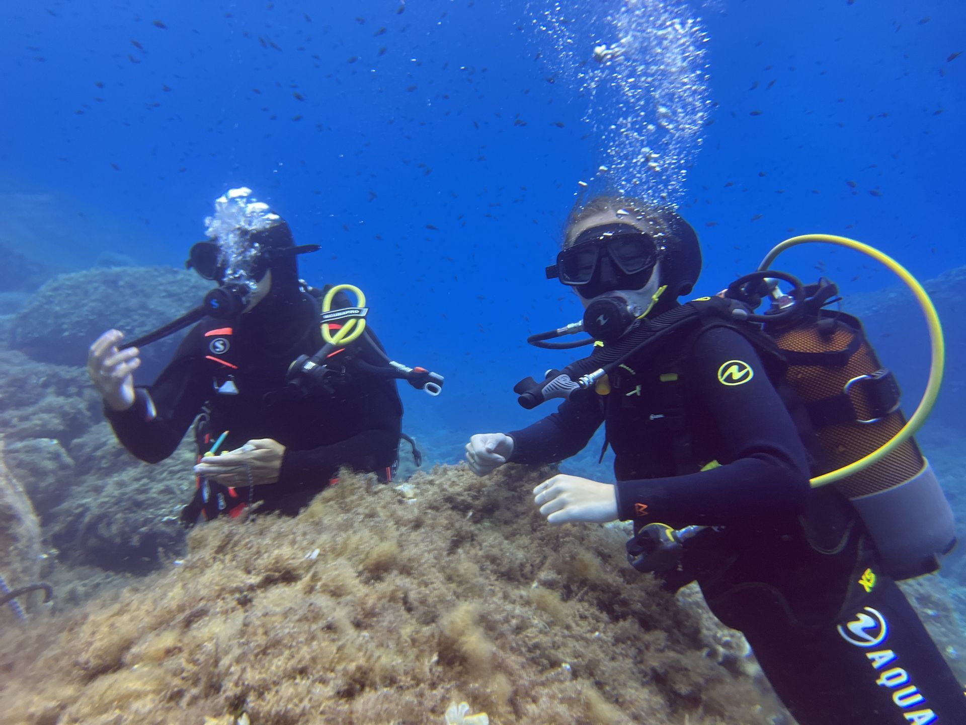 Två dykare utforskar en havsbotten, en justerar utrustning, bubblor stiger.