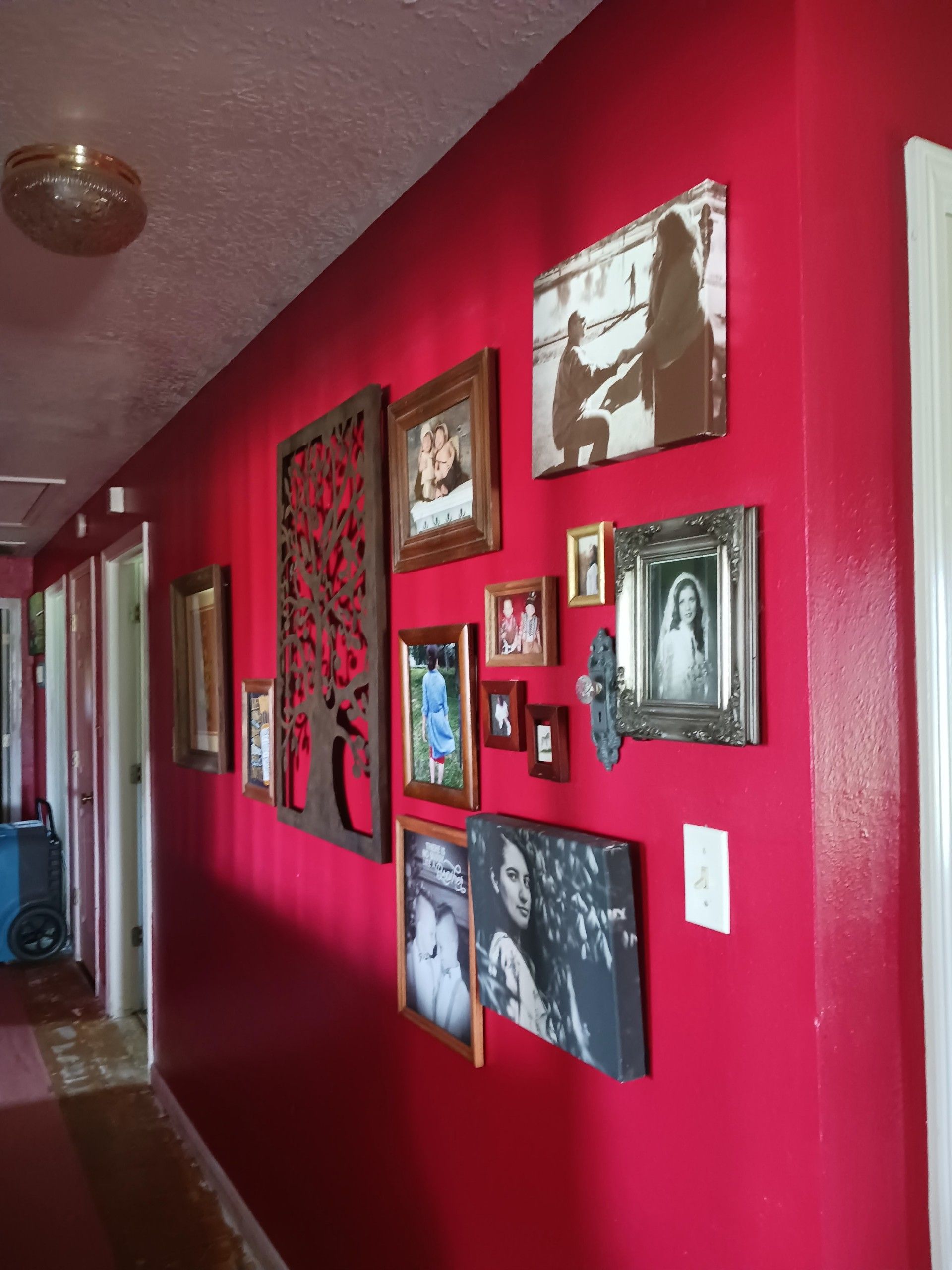 Fire Damage Restoration, Fire Damage Restoration Company Near Me, Westlake Fire Damage Restoration Company, Gilliam Fire Damage Restoration Company, Carlyss Fire Damage Restoration Company, Sulphur Fire Damage Restoration Company, Prien Fire Damage Restoration Company, Bell City Fire Damage Restoration Company, Moss Bluff Fire Damage Restoration Company, Lake Charles Fire Damage Restoration Company, Vinton Fire Damage Restoration Company, Woodland Fire Damage Restoration Company, Mossville Fire Damage Restoration Company, Fire Damage Restoration Services, Residential Fire Damage Restoration Services, Commercial Fire Damage Restoration Services, Fire Damage Cleanup, Fire Damage Repair, Water Damage Restoration, Water Damage Restoration Company Near Me, Westlake Water Damage Restoration Company, Gilliam Water Damage Restoration Company, Carlyss Water Damage Restoration Company, Sulphur Water Damage Restoration Company, Prien Water Damage Restoration Company, Bell City Water Damage Restoration Company, Moss Bluff Water Damage Restoration Company, Lake Charles Water Damage Restoration Company, Vinton Water Damage Restoration Company, Woodland Water Damage Restoration Company, Mossville Water Damage Restoration Company, Residential Water Damage Restoration Services, Commercial Water Damage Restoration Services, Water Damage Mold Removal, Water Damage Cleanup, Water Damage Repair, Restoration Cleaning Services, Damage Restoration, Moving & Storing, Biohazard Sanitizing, Biohazard Disinfecting, Biohazard Clean Up, Crime Scene Disinfecting, Crime Scene Clean Up, Ozone Odor Removal, Residential Ozone Odor Removal, Commercial Ozone Odor Removal, Westlake, LA, Gilliam, LA, Carlyss, LA, Sulphur, LA, Belle Savanne, Sulphur, LA, Prien, LA, Bell City, LA, Moss Bluff, LA, Lake Charles, LA, Vinton, LA, Woodland, LA, Mossville, LA