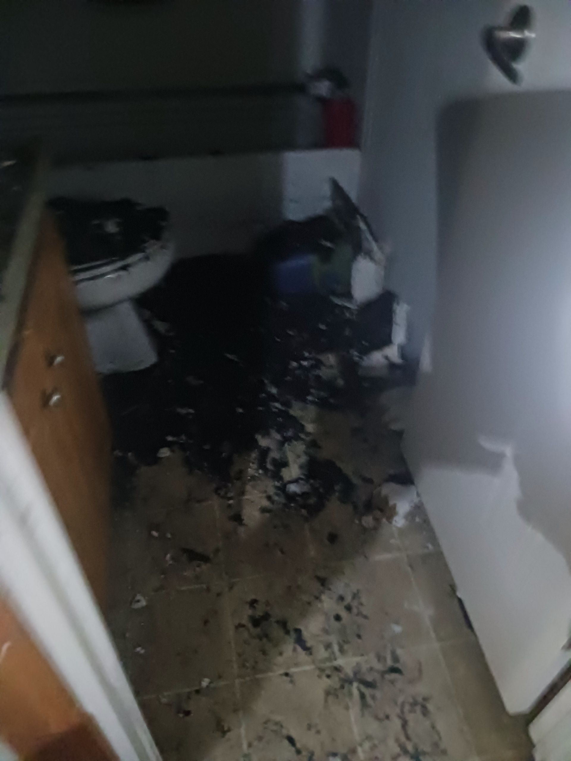 Fire Damage Restoration, Fire Damage Restoration Company Near Me, Westlake Fire Damage Restoration Company, Gilliam Fire Damage Restoration Company, Carlyss Fire Damage Restoration Company, Sulphur Fire Damage Restoration Company, Prien Fire Damage Restoration Company, Bell City Fire Damage Restoration Company, Moss Bluff Fire Damage Restoration Company, Lake Charles Fire Damage Restoration Company, Vinton Fire Damage Restoration Company, Woodland Fire Damage Restoration Company, Mossville Fire Damage Restoration Company, Fire Damage Restoration Services, Residential Fire Damage Restoration Services, Commercial Fire Damage Restoration Services, Fire Damage Cleanup, Fire Damage Repair, Water Damage Restoration, Water Damage Restoration Company Near Me, Westlake Water Damage Restoration Company, Gilliam Water Damage Restoration Company, Carlyss Water Damage Restoration Company, Sulphur Water Damage Restoration Company, Prien Water Damage Restoration Company, Bell City Water Damage Restoration Company, Moss Bluff Water Damage Restoration Company, Lake Charles Water Damage Restoration Company, Vinton Water Damage Restoration Company, Woodland Water Damage Restoration Company, Mossville Water Damage Restoration Company, Residential Water Damage Restoration Services, Commercial Water Damage Restoration Services, Water Damage Mold Removal, Water Damage Cleanup, Water Damage Repair, Restoration Cleaning Services, Damage Restoration, Moving & Storing, Biohazard Sanitizing, Biohazard Disinfecting, Biohazard Clean Up, Crime Scene Disinfecting, Crime Scene Clean Up, Ozone Odor Removal, Residential Ozone Odor Removal, Commercial Ozone Odor Removal, Westlake, LA, Gilliam, LA, Carlyss, LA, Sulphur, LA, Belle Savanne, Sulphur, LA, Prien, LA, Bell City, LA, Moss Bluff, LA, Lake Charles, LA, Vinton, LA, Woodland, LA, Mossville, LA