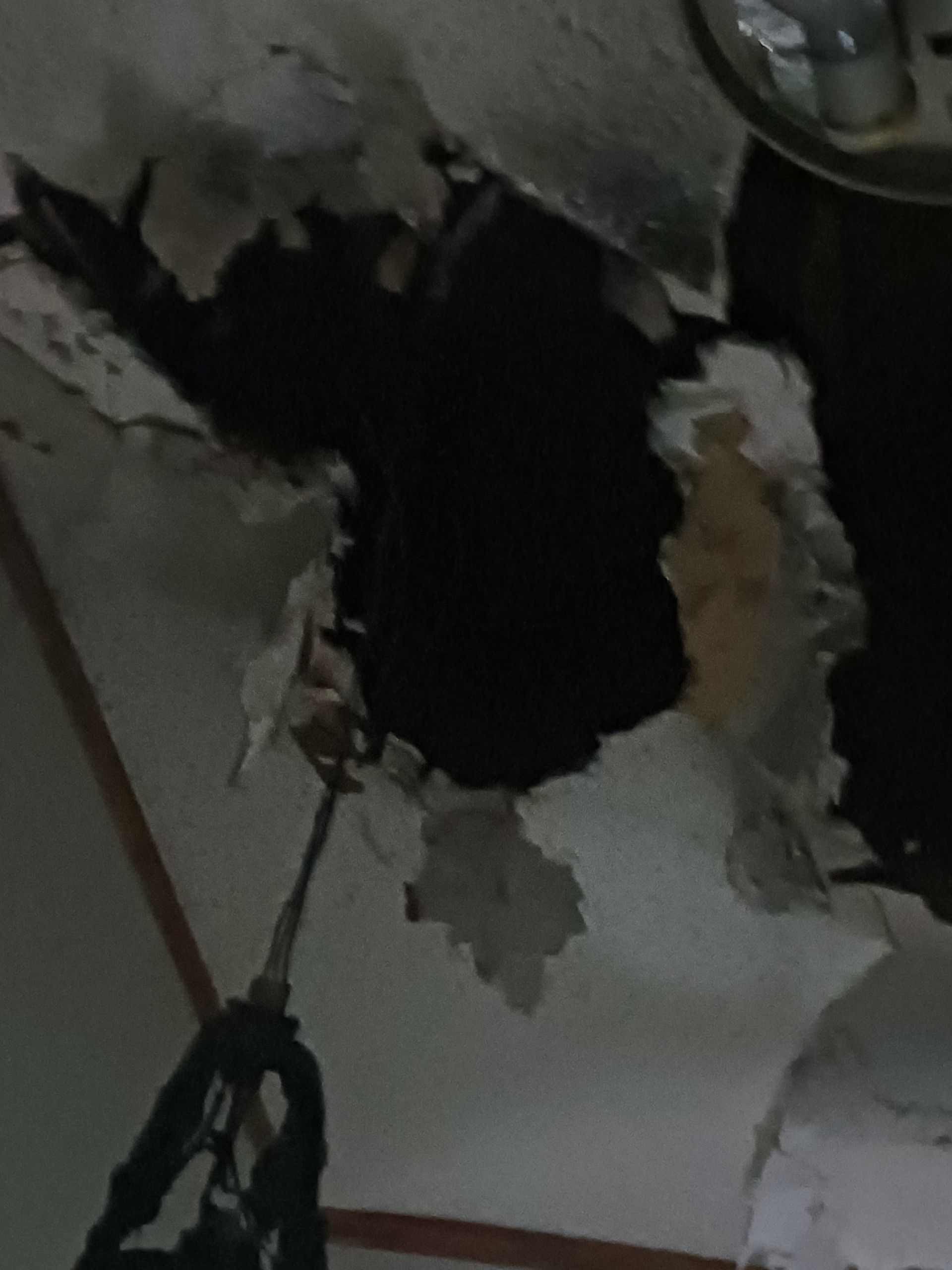 Fire Damage Restoration, Fire Damage Restoration Company Near Me, Westlake Fire Damage Restoration Company, Gilliam Fire Damage Restoration Company, Carlyss Fire Damage Restoration Company, Sulphur Fire Damage Restoration Company, Prien Fire Damage Restoration Company, Bell City Fire Damage Restoration Company, Moss Bluff Fire Damage Restoration Company, Lake Charles Fire Damage Restoration Company, Vinton Fire Damage Restoration Company, Woodland Fire Damage Restoration Company, Mossville Fire Damage Restoration Company, Fire Damage Restoration Services, Residential Fire Damage Restoration Services, Commercial Fire Damage Restoration Services, Fire Damage Cleanup, Fire Damage Repair, Water Damage Restoration, Water Damage Restoration Company Near Me, Westlake Water Damage Restoration Company, Gilliam Water Damage Restoration Company, Carlyss Water Damage Restoration Company, Sulphur Water Damage Restoration Company, Prien Water Damage Restoration Company, Bell City Water Damage Restoration Company, Moss Bluff Water Damage Restoration Company, Lake Charles Water Damage Restoration Company, Vinton Water Damage Restoration Company, Woodland Water Damage Restoration Company, Mossville Water Damage Restoration Company, Residential Water Damage Restoration Services, Commercial Water Damage Restoration Services, Water Damage Mold Removal, Water Damage Cleanup, Water Damage Repair, Restoration Cleaning Services, Damage Restoration, Moving & Storing, Biohazard Sanitizing, Biohazard Disinfecting, Biohazard Clean Up, Crime Scene Disinfecting, Crime Scene Clean Up, Ozone Odor Removal, Residential Ozone Odor Removal, Commercial Ozone Odor Removal, Westlake, LA, Gilliam, LA, Carlyss, LA, Sulphur, LA, Belle Savanne, Sulphur, LA, Prien, LA, Bell City, LA, Moss Bluff, LA, Lake Charles, LA, Vinton, LA, Woodland, LA, Mossville, LA