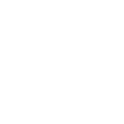 Icona Geolocalizzazione