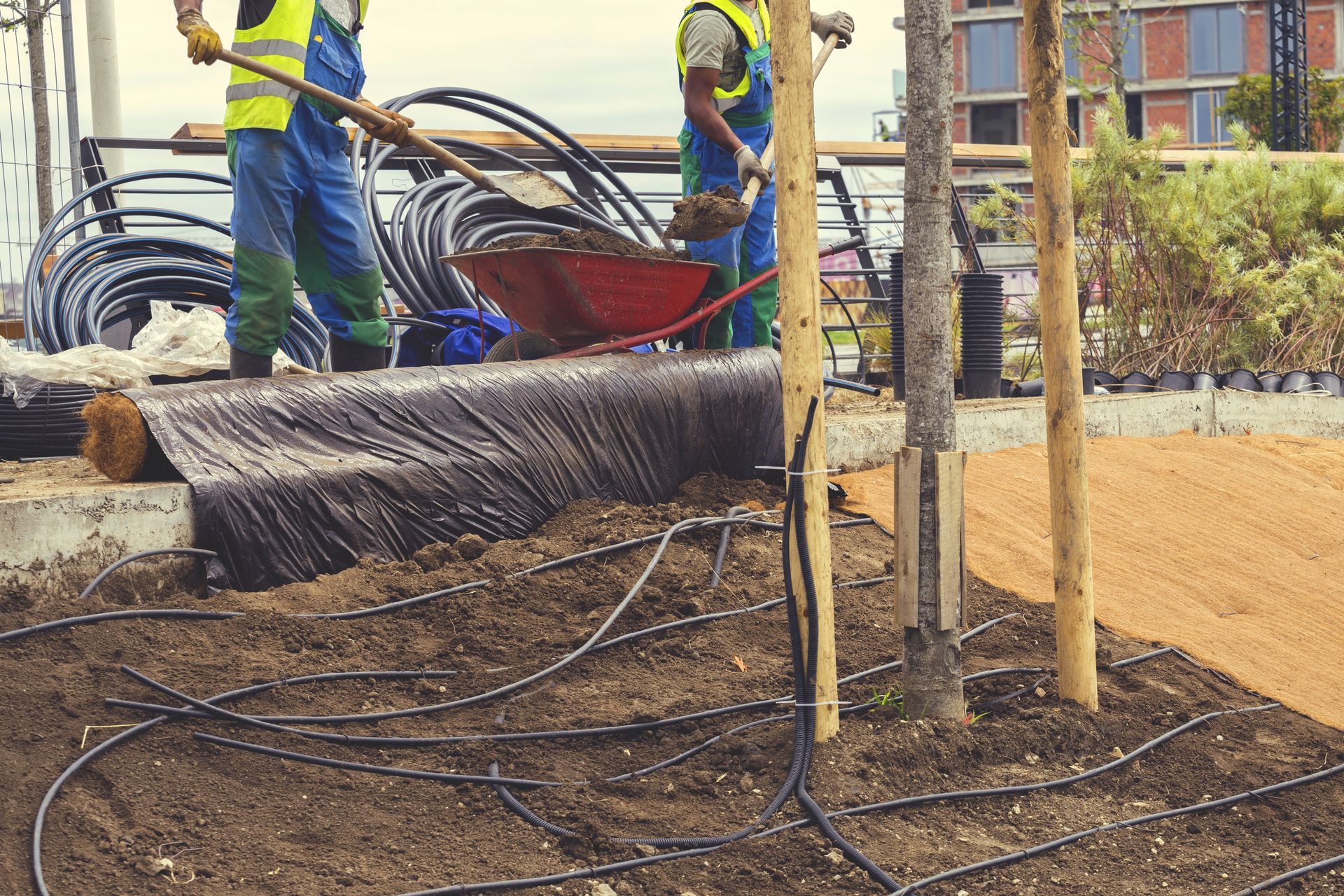 Workers planting trees; installing irrigation system on construction site.