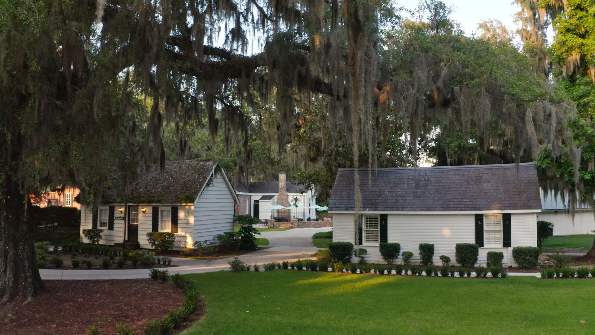 a couple of houses with spanish moss hanging from the trees