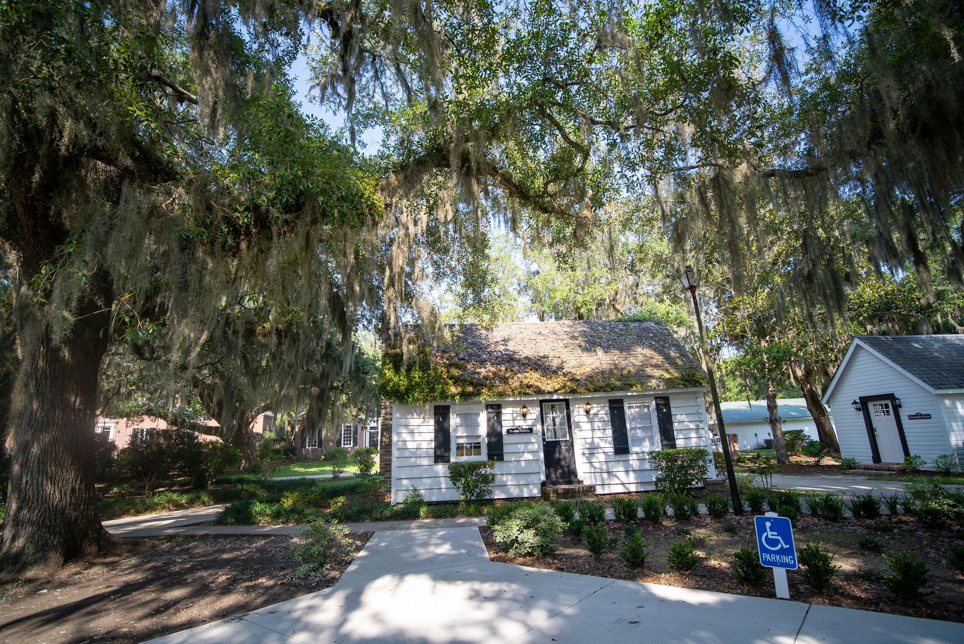a white house with spanish moss hanging from the trees in front of it .
