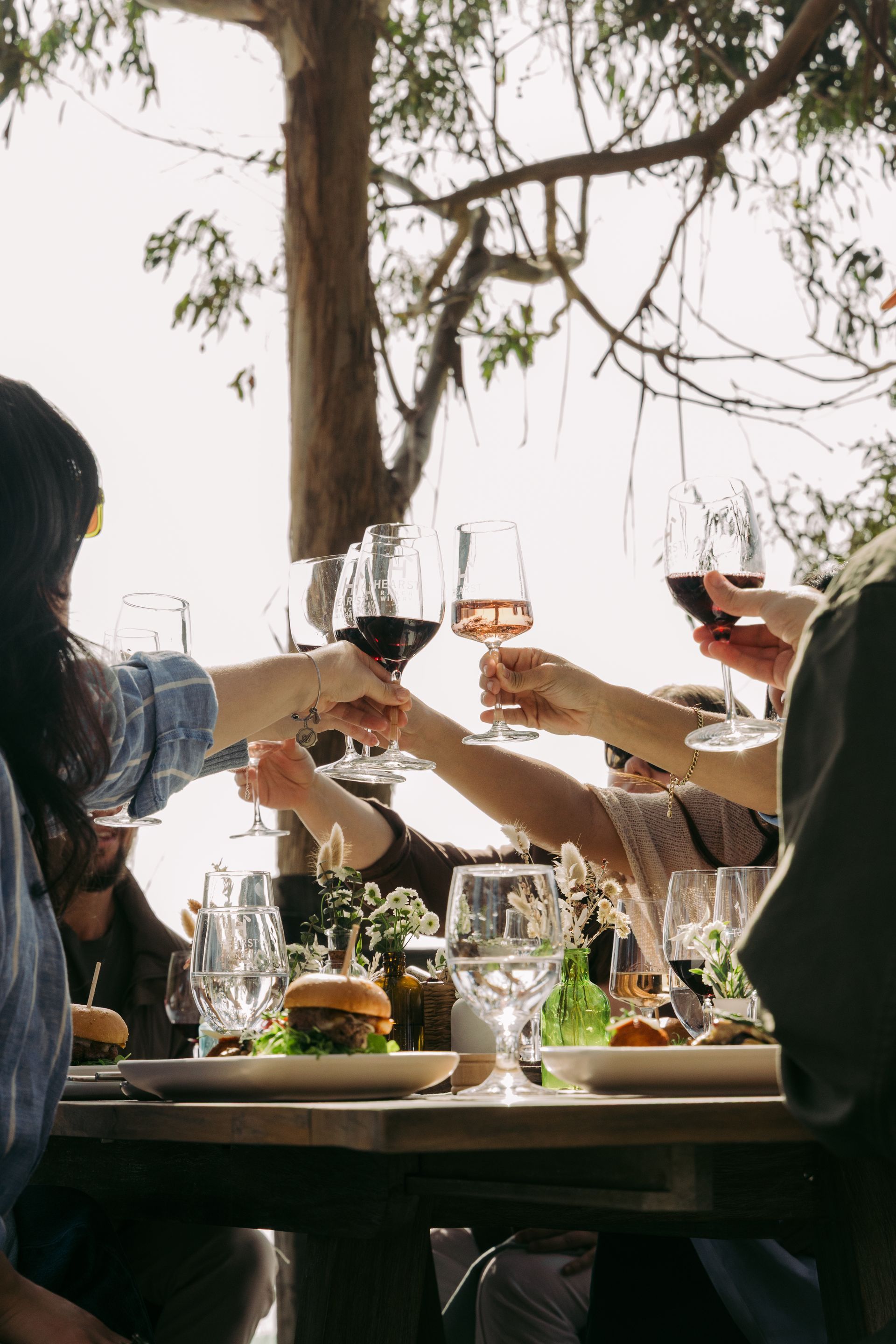 People toasting red wine glasses at an outdoor dining table under a tree