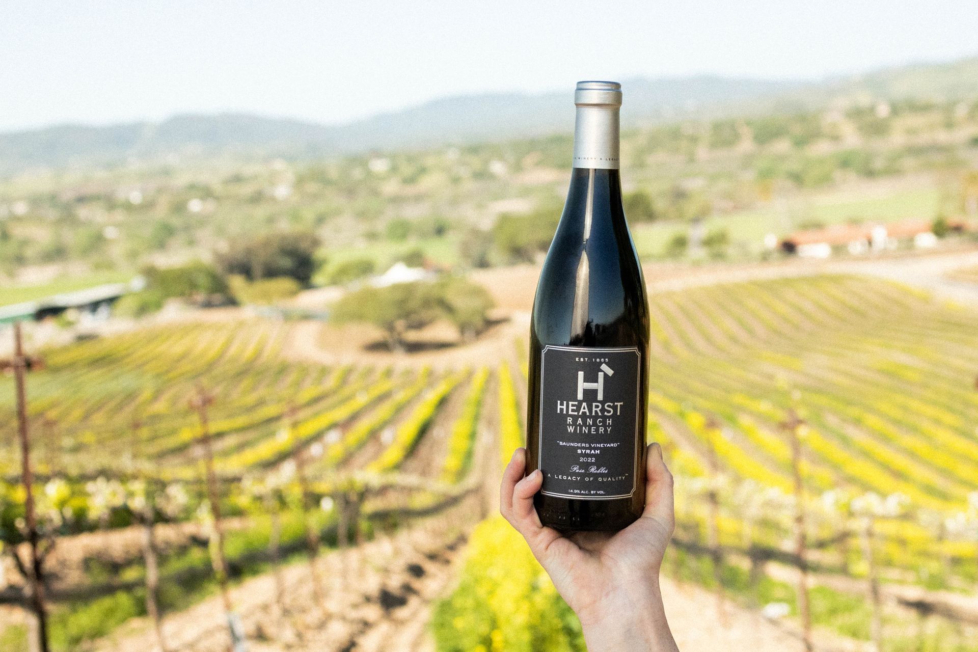 Hand holding a black wine bottle over a sunlit vineyard landscape