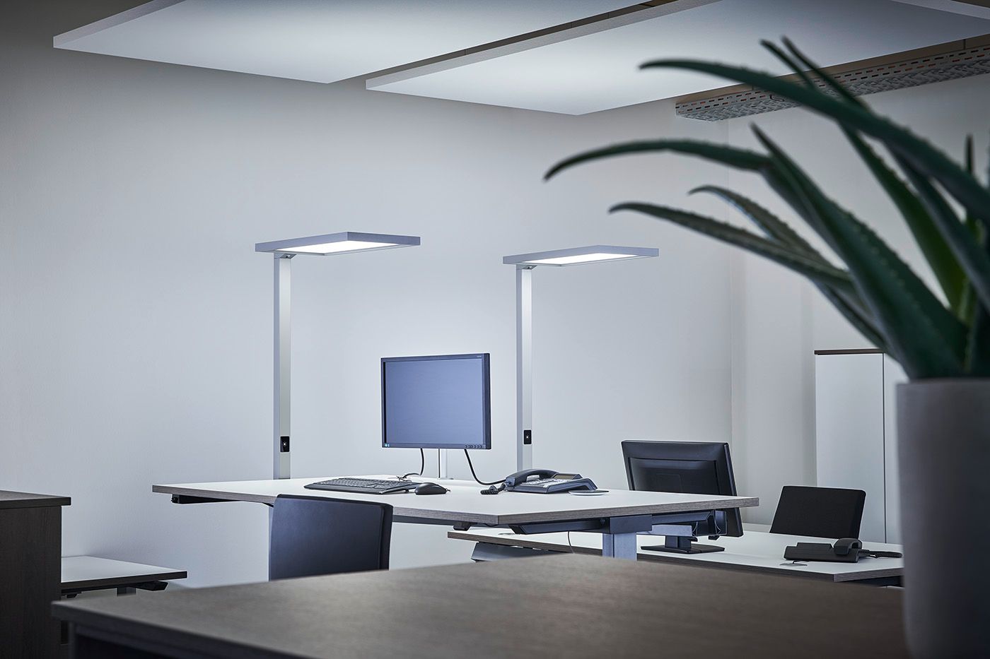 Helles Büro mit ergonomischem Arbeitsplatz, LED-Leuchten und Tageslicht
