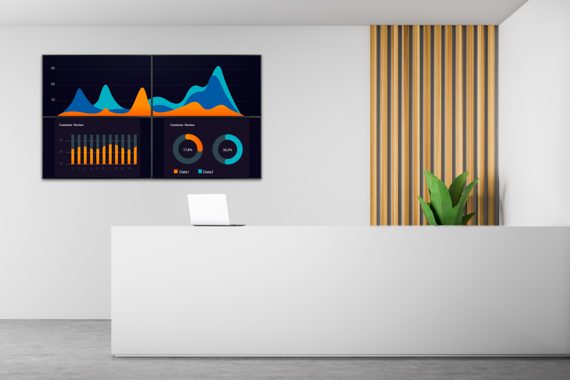 Professional Display 