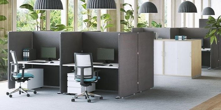 Büro mit offenen Arbeitsplätzen, ergonomischen Stühlen und viel Pflanzenlicht