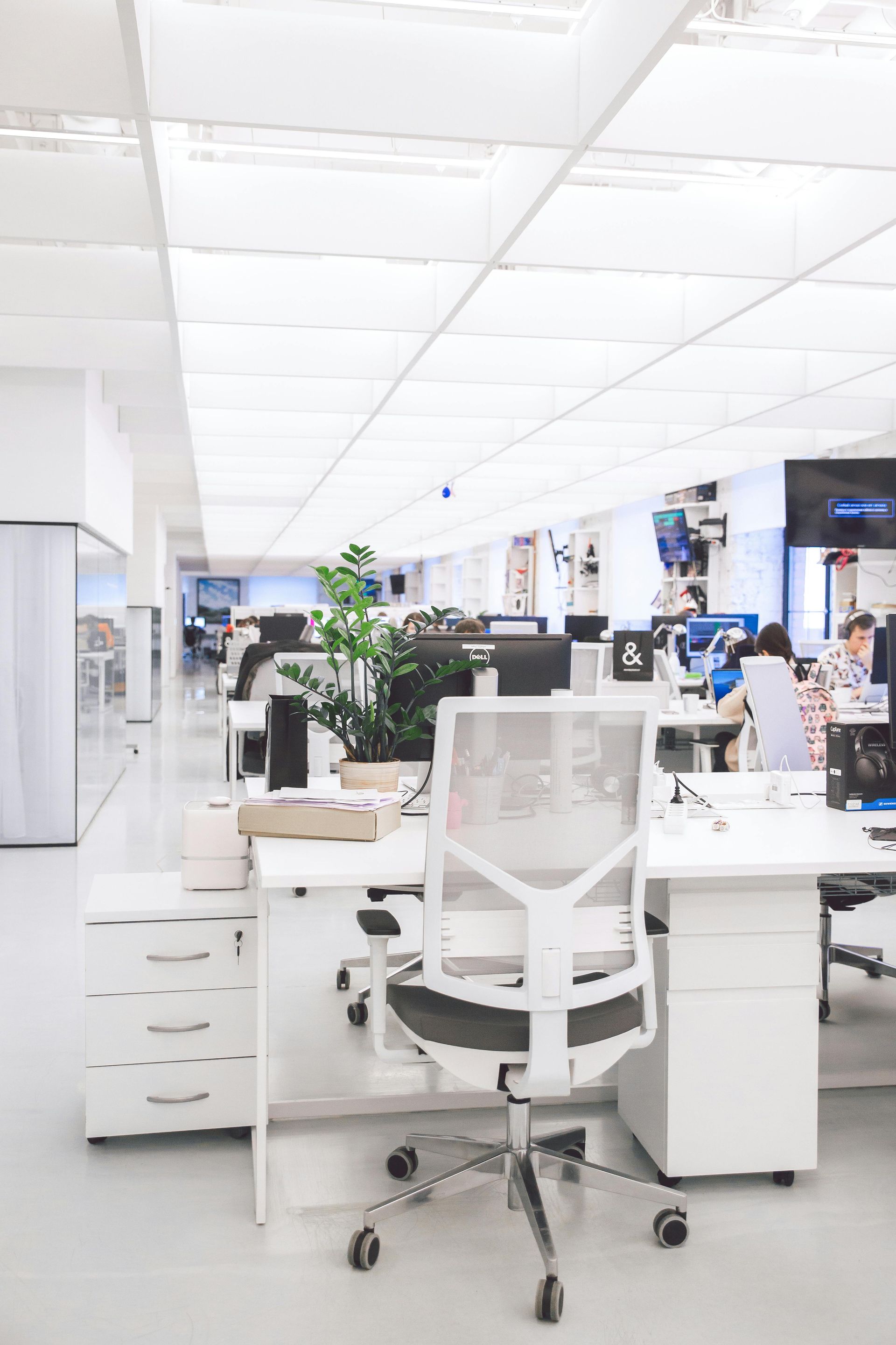 Bürobedarf, Möbel & ergonomische Stühle für Behörden, Ämter & Verwaltungen. Test im Showroom Mainz, 