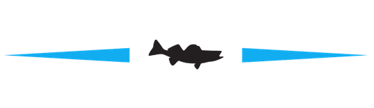 A black fish is swimming in the water between two blue lines.