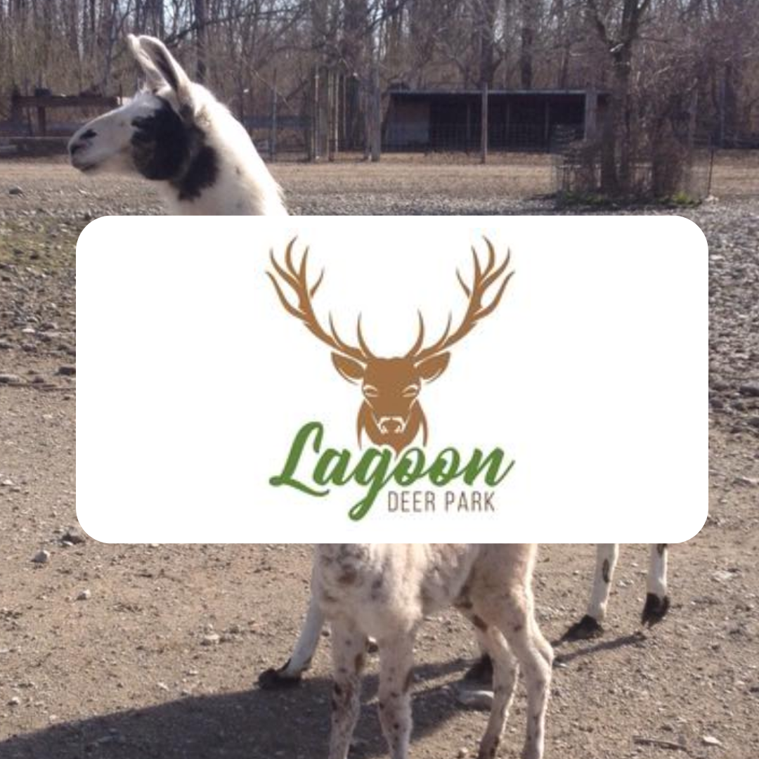 A logo for lagoon deer park with a llama in the background