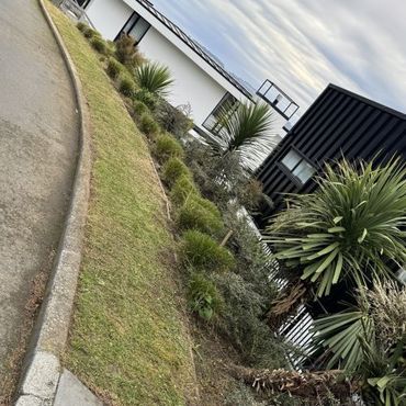 Garden Tidy Up, Dunedin City