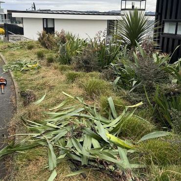 Garden Tidy Up, Dunedin City