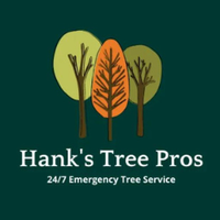 Tree Service Sandy Springs & Atlanta | Tree Trimming and Removal