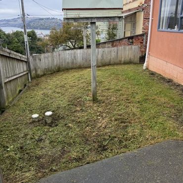 Lawn Mowed and section clean up, Dunedin City.