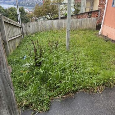 Lawn Mowed and section clean up, Dunedin City.