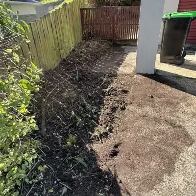 After: waste and debris cleared from the front section as part of a tidy-up in North Dunedin.