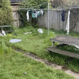 Before: Overgrown lawn mowing job in Leith Valley, Dunedin.