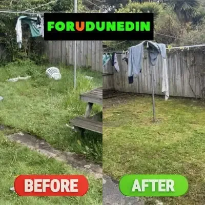 Before & After: Overgrown lawn mowing services in Leith Valley, Dunedin.