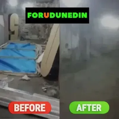 Before & After: Basement clearing of multiple items in North Dunedin.