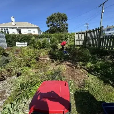 Before: heavily overgrown garden beds and thick vegetation on a residential section in Mornington, Dunedin.