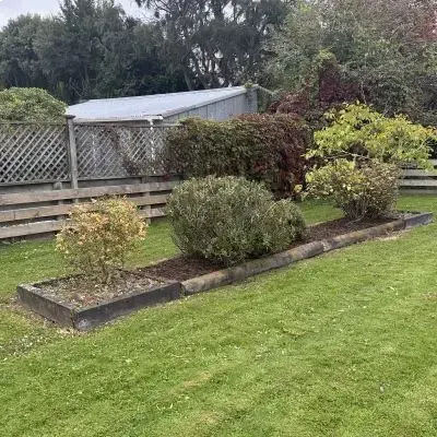 After: Bushes perfectly shaped and trimmed in Rosyln.