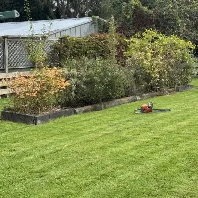 Before: Bushes perfectly shaped and trimmed in Rosyln.