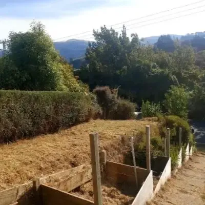 After: Bush trimming and section clean-up, St Clair.