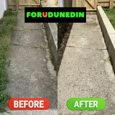 Before & After: Concrete path and retaining wall pressure washing job completed in Bradford, Dunedin.