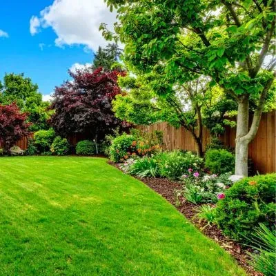 Well-maintained residential yard in Dunedin illustrating council-compliant section clearing and vegetation control.