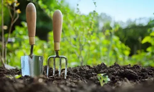 Garden hand tools placed in soil in a Dunedin garden, representing planting and maintenance standards.