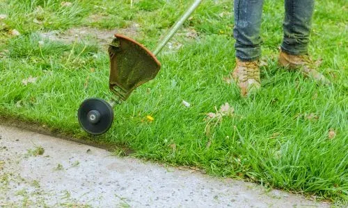 Grass verge edging beside a footpath showing council-compliant lawn maintenance in Dunedin.