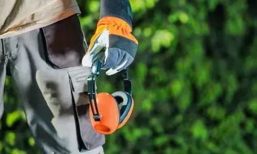 Yard maintenance is being carried out in line with Dunedin City Council regulations and safety requirements.