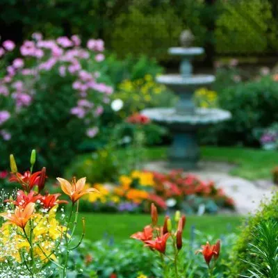 Well‑maintained Dunedin garden with colourful flower beds and a fountain.