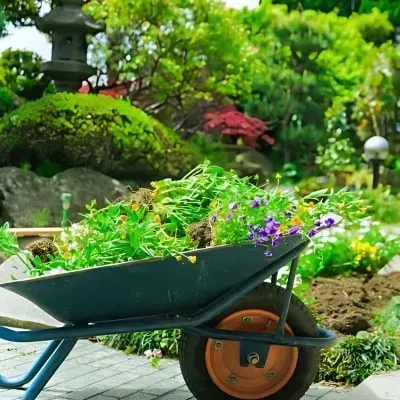 Dunedin green waste removal and lawn clippings disposal destinations.