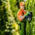 FORUDUNEDIN gardener trimming a hedge to maintain roadside visibility and Dunedin City Council clearances.